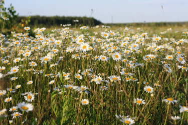 Similar image 1397027