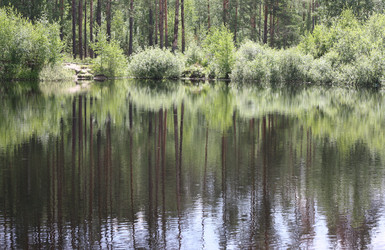 Similar image 1397031