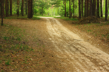 Similar image 1397038