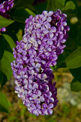 Similar image 1397147