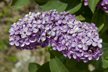 Similar image 1397148