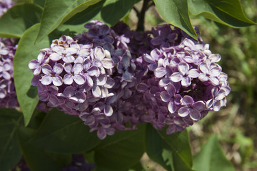 Similar image 1397150