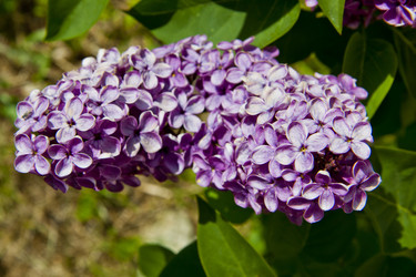 Similar image 1397151