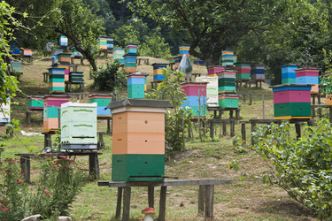 Similar image 1397153