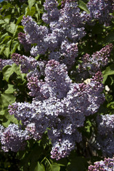 Similar image 1397160