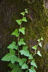 Similar image 1397178