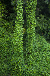 Similar image 1397179