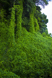 Similar image 1397180