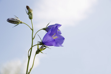 Similar image 1397189