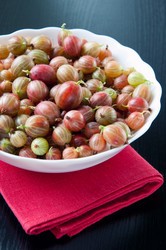 Similar image 1397292