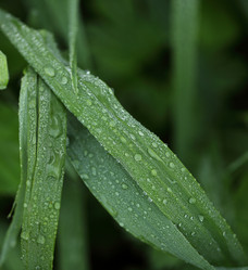 Similar image 1397297