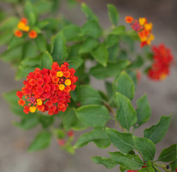 Similar image 1397298