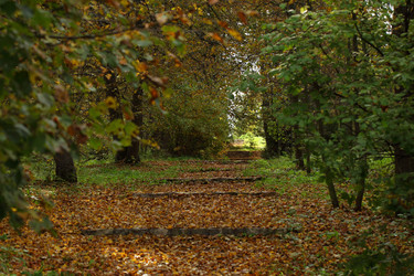 Similar image 1397300