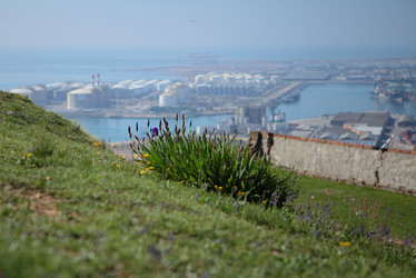 Similar image 1397301