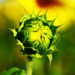 Similar image 1397302