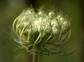 Similar image 1397309