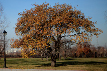 Similar image 1397311