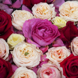 Similar image 1397313