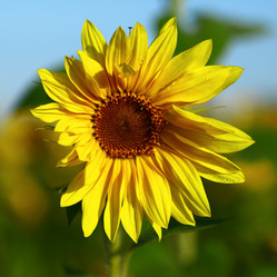 Similar image 1397314