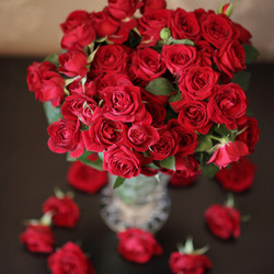 Similar image 1397315