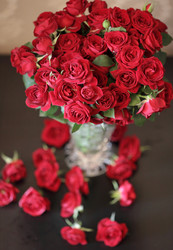 Similar image 1397316