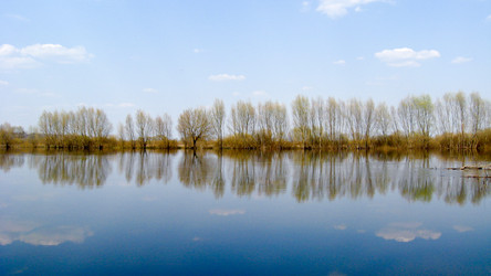 Similar image 1397377