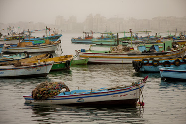 Similar image 1397407