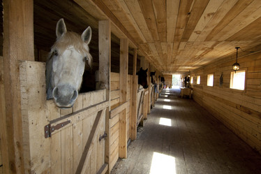 Similar image 1397436