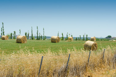 Similar image 1397762