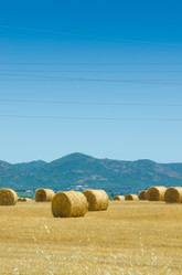 Similar image 1397763