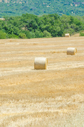 Similar image 1397764