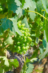 Similar image 1397769