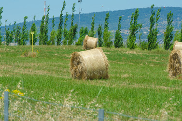 Similar image 1397770