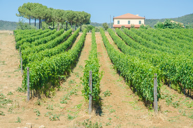 Similar image 1397780