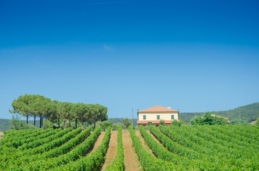 Similar image 1397781