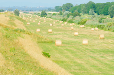 Similar image 1397791