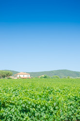 Similar image 1397793