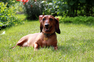 Similar image 1397815