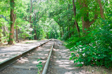 Similar image 1397819