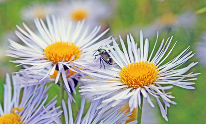 Similar image 1397825