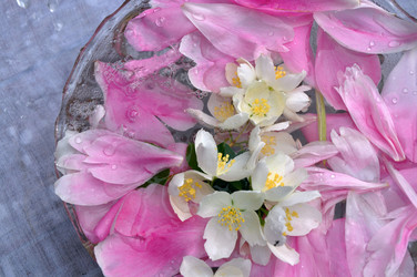 Similar image 1397836