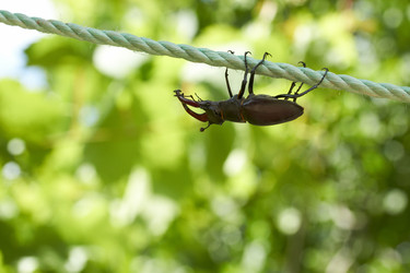 Similar image 1397850