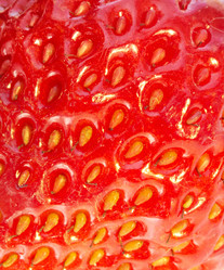 Similar image 1397851