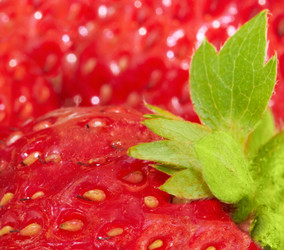 Similar image 1397852