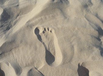 Similar image 1397877