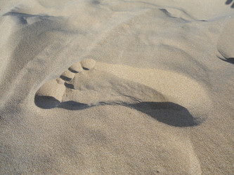 Similar image 1397878