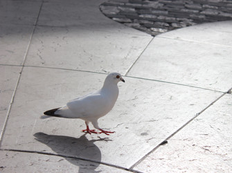 Similar image 1397879