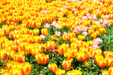 Similar image 1397890