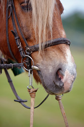 Similar image 1397892