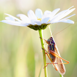 Similar image 1397895